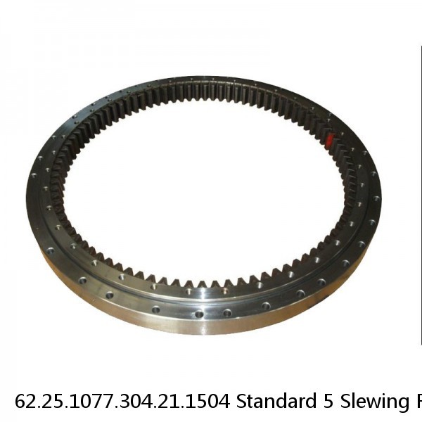 62.25.1077.304.21.1504 Standard 5 Slewing Ring Bearings