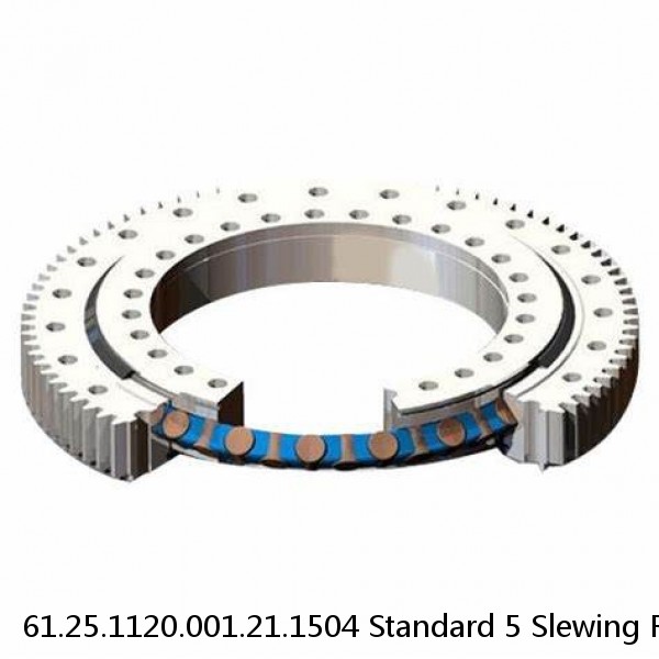 61.25.1120.001.21.1504 Standard 5 Slewing Ring Bearings