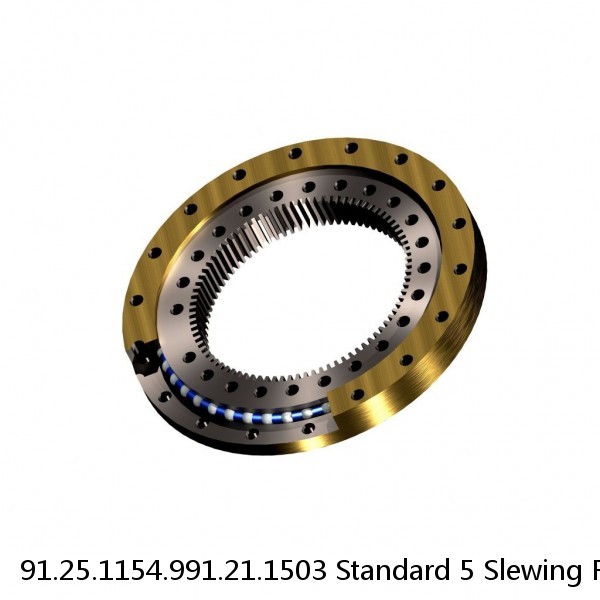 91.25.1154.991.21.1503 Standard 5 Slewing Ring Bearings