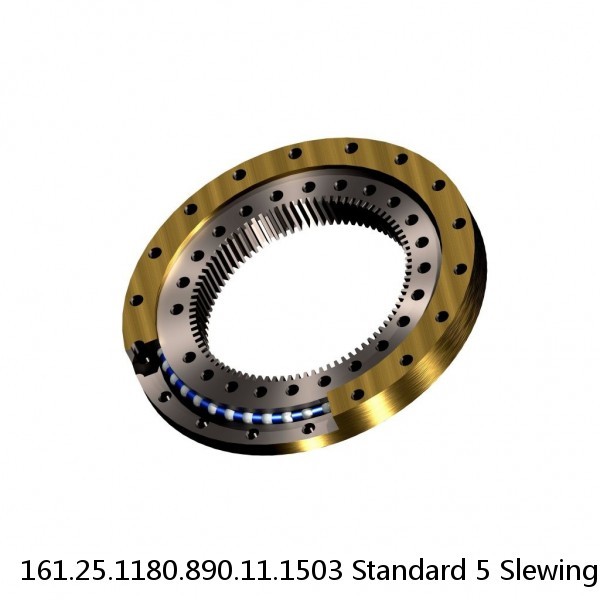 161.25.1180.890.11.1503 Standard 5 Slewing Ring Bearings