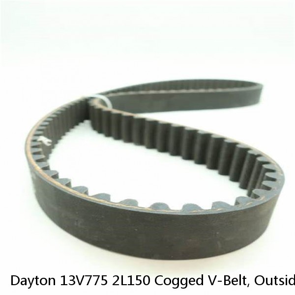 Dayton 13V775 2L150 Cogged V-Belt, Outside Length 15"